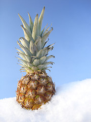 Image showing pineapple