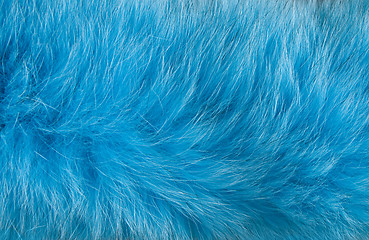 Image showing Fake fur