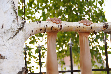 Image showing Hanging on branch