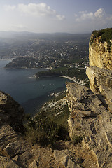 Image showing Cassis