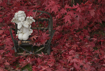 Image showing Red Autumn Angel