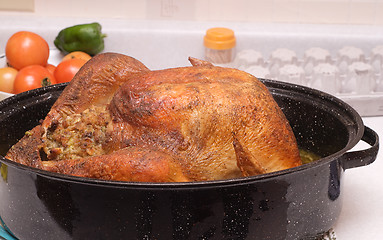 Image showing Cooked Turkey