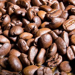 Image showing Coffee Beans