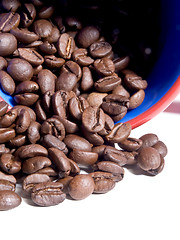 Image showing Coffee Beans