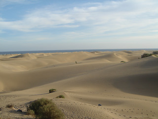 Image showing desert