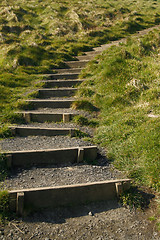 Image showing Steps leading up the grassy hill