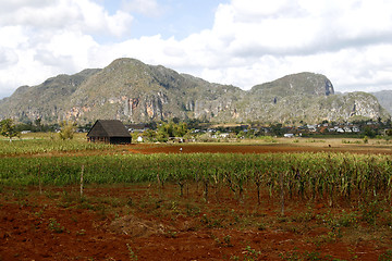 Image showing Barn for drying tobacco in Cuban countryside, in a little town o