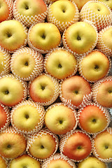 Image showing Apples, packaged neatly