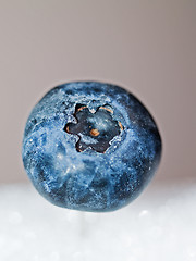 Image showing Blueberry