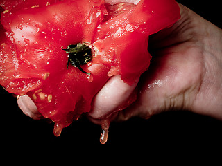 Image showing Tomato Squeeze