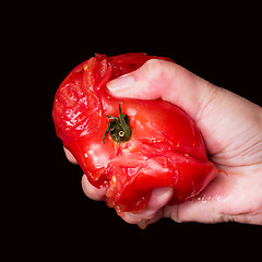 Image showing Tomato Squeeze