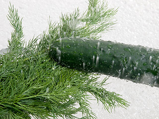 Image showing Cucumber and Dill