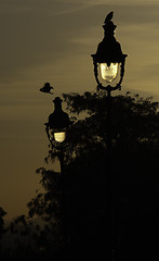 Image showing Street light 2