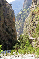 Image showing National Park of Samaria