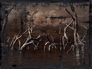 Image showing grunge dead trees