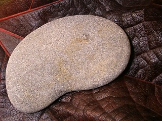 Image showing pebble