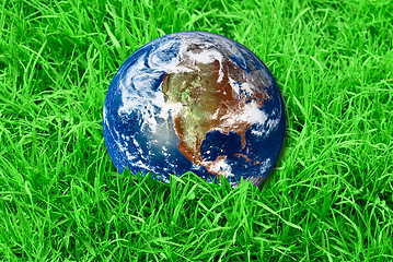 Image showing Earth at the green grass