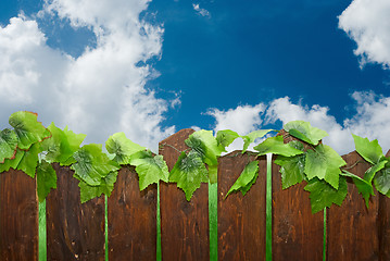 Image showing rural fence