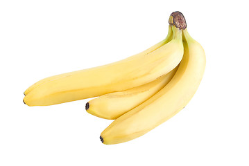 Image showing Bananas 