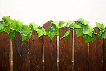 Image showing wooden fence