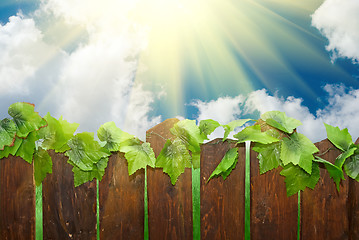 Image showing Sunny day with rural fence