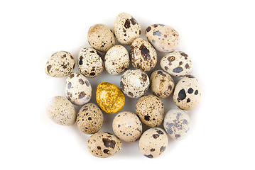Image showing One Gold quail egg 