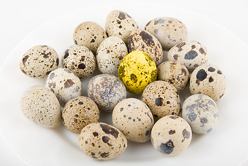 Image showing Gold quail egg 