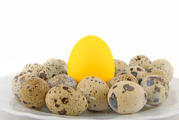 Image showing Big Gold egg