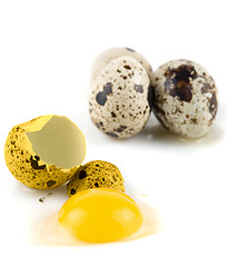 Image showing broken egg quail