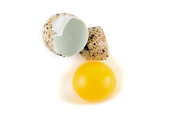 Image showing egg 