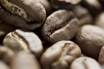 Image showing coffee beans