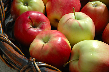 Image showing Apples