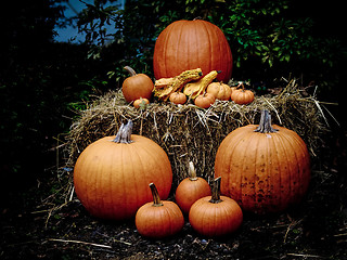 Image showing Pumpkins on a hay bale at dusk