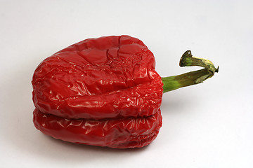 Image showing Shrunken Pepper