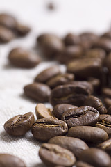 Image showing Roasted coffee beans