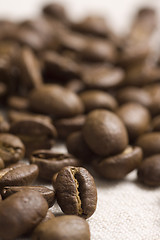 Image showing Roasted coffee beans