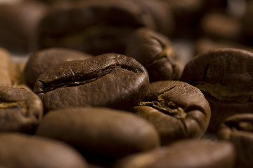 Image showing Roasted coffee beans