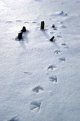 Image showing Winter Scene