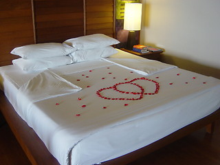 Image showing Honeymoon Bed