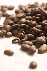 Image showing Roasted coffee beans