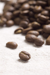 Image showing Roasted coffee beans