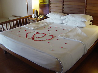 Image showing Honeymoon Hotel Bed