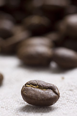 Image showing Roasted coffee beans