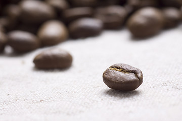 Image showing Roasted coffee beans