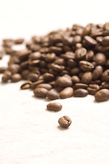 Image showing Roasted coffee beans