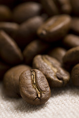 Image showing Roasted coffee beans