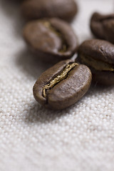 Image showing Roasted coffee beans