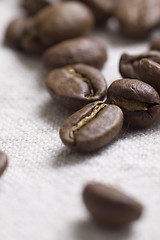 Image showing Roasted coffee beans