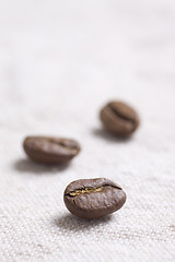 Image showing Roasted coffee beans