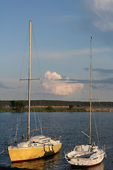 Image showing Yachts